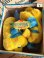 画像5: LITTLE MERMAID "FLOUNDER" D.STOCK SLIPPER
