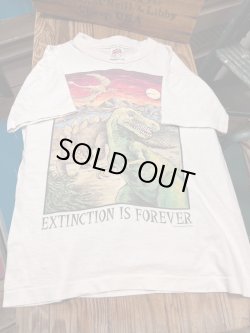 画像1: DINOSAURS "MADE IN USA" KIDS VINTAGE T-SHIRTS