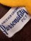 画像6: PERSONALITY PET VINTAGE  "WESTERN 🐶MICHIGAN UNIVERSITY"  COLLEGIATE MFG Co. DOLL
