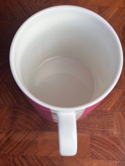 画像8: ARABIA "SYLVA TAPIIRI" TEEMA MUG