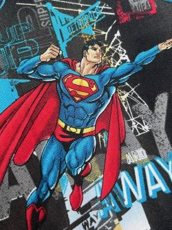 画像10: SUPERMAN KIDS USED REVERSIBLE VEST