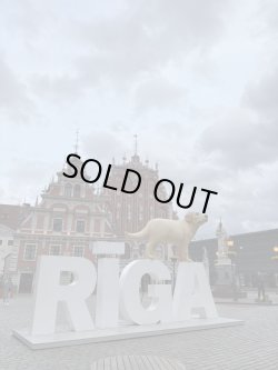 画像18: adidas "MADE IN FRANCE🇫🇷” 1970'S NYLON JACKET