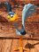画像1: ROAD RUNNER 1968'S DAKIN FIGURE (1)