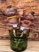 画像9: TRADER VIC'S "MENEHUNE" 1970'S STIR STICK FIGURE 