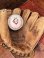 画像5: Kellogg's "TONY THE TIGER" 1991'S BASEBALL BALL (5)