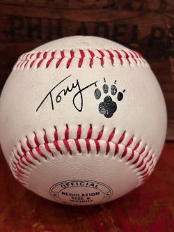 画像3: Kellogg's "TONY THE TIGER" 1991'S BASEBALL BALL