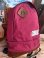画像3: WILDERNESS EXPERIENCE  VINTAGE BACK PACK