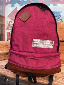 画像1: WILDERNESS EXPERIENCE  VINTAGE BACK PACK