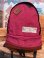 画像1: WILDERNESS EXPERIENCE  VINTAGE BACK PACK (1)