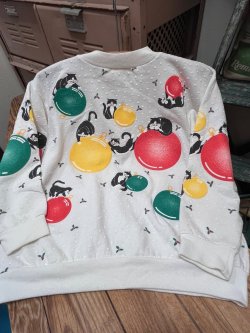 画像2: SCOOP OF SPUMONI "MADE IN USA" KIDS VINTAGE SWEAT