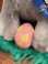 画像12: DR.SEUSS "HORTON HATCHES THE EGG" 1983'S D.STOCK PLUSH DOLL (12)