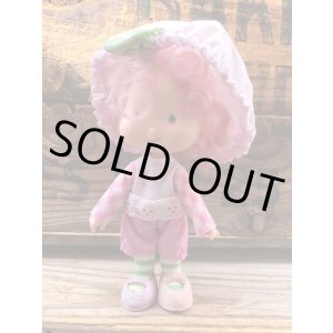 画像: STRAWBERRY SHORTCAKE 1979'S ”“RASPBERRY TURT" FIGURE