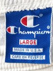 画像8: CHAMPION "GENESEO SUMMER FESTIVAL1991'S LARGE "MADE IN USA" T-SHIRTS 