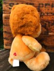 画像3: CARE BEARS COUSIN "BRAVE HEART♥LION" CURLY♪ 1980'S DOLL