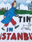 画像1: TINTIN "IN ISTANBUL"  VINTAGE T-SHIRTS 