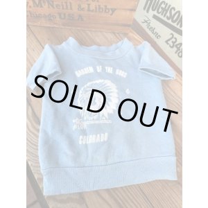 画像: COLORAD INDIAN HEAD KIDS VINTAGE SWEAT SHIRTS