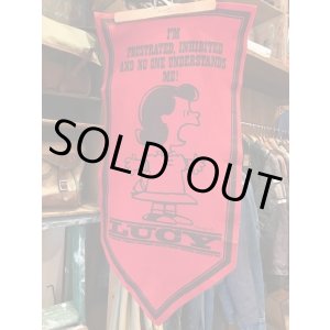 画像: LUCY VINTAGE "I AM FRUTRATED, NO ONE UNDERSTANDS ME" FELT BANNER