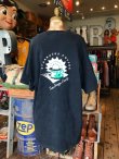 画像3: STARBUCKS ORANGE COUNTRY "MADE IN USA" VINTAGE T-SHIRTS 