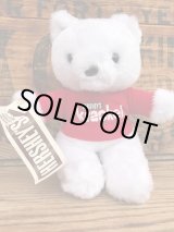 画像: CRACKEL BEAR 1980'S " 9INCH PLUSH DOLL