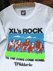 画像1:  D'Addario XL'S ROCK!!  "MADE IN USA" VINTAGE T-SHIRTS 