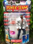 画像15: DENNIS RODMAN "WCW"" 2000'S D.STOCK  FIGURE