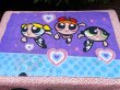 画像10: THE POWERPUFF GIRLS '00'S PILLOW CASE