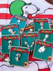 画像7: PEANUTS " WOODSTOCK" D.STOCK STERLING SILVER JEWELRY 