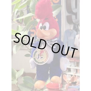 画像: WOODY WOODPECKER 1980'S RUBBER FACE PLUSH DOLL
