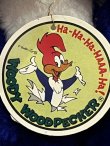 画像4: WOODY WOODPECKER 1980'S RUBBER FACE PLUSH DOLL