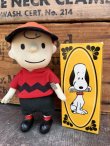 画像9: SNOOPY 1970 AVON COMB WITH BOX