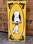 画像1: SNOOPY 1970 AVON COMB WITH BOX