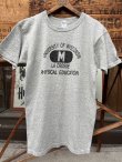 画像2: CHAMPION UofW ４連プリント "MADE IN USA" 19８0'S T-SHIRTS