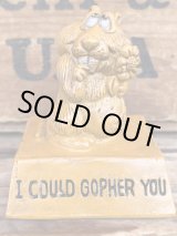 画像: I COULD GOPHER YOU 1974'S MESSAGE DOLL