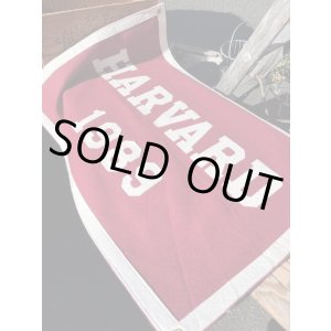 画像: HARVARD UNIVERSITY 1989'S BANNER