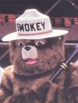 画像15: SMOKEY THE BEAR🏟SAN FRANCISCO GIANTS 1987'S D.STOCK POSTER