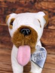 画像7: THERE'S SOMETHING ABOUT MARY "PUFFY THE DOG" 1990'S PLUSH DOLL