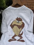 画像1: LOONEY TUNES  ”TAZ" 1990'S  "MADE IN USA" T-SHIRTS 