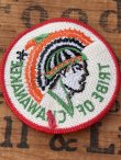 画像2: TRIBE OF CHAWANAKEE BSA D.STOCK  PATCH