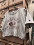 画像2: CHAMPION "MADE IN USA" 19８0'S D,STOCK CROPPED T-SHIRTS