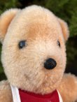 画像7: WINNIE THE POOH 1970'S PLUSH DOLL