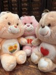 画像6:  CARE BEARS  "LOVE-A-LOT ♥BEAR" 1980'S PLUSH DOLL 