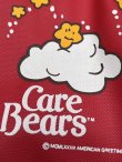 画像11: CARE BEARS 1980'S GARMENT BAG