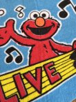 画像9: SESAME STREET "LIVE" 1980'S  PENNANT