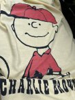 画像5: PEANUTS "HAPPINESS IS SNOOPY & CHARLIE BROWN" 1970'S FABRIC