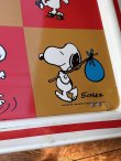 画像9: PEANUTS 1970'S METAL PLATE #1