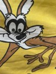 画像11: ROAD RUNNER & WILLE E COYOTE 1970'S KING FLAT SHEETS