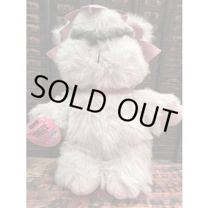 画像: STAR WARS "PRINCESS KNEESAA THE EWOK" OLD KENNER DOLL
