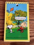 画像1: PEANUTS  "KITE PLAYER" 1970'S D.STOCK MEMO PAD
