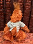 画像5: ALF "GENIUS AMONG IDIOTS" 1980'S PLUSH DOLL