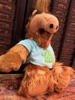 画像3: ALF "GENIUS AMONG IDIOTS" 1980'S PLUSH DOLL